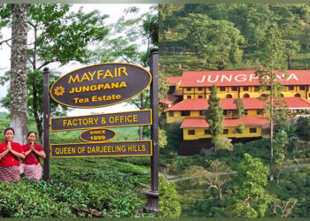 Mayfair Hotels & Resorts acquires the historic Jungpana Tea Garden