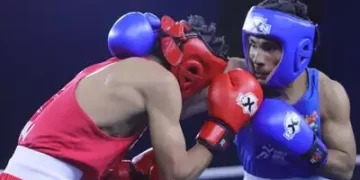 Boxers Continue To Fight