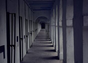 MOTHERLAND WILL RESPOND