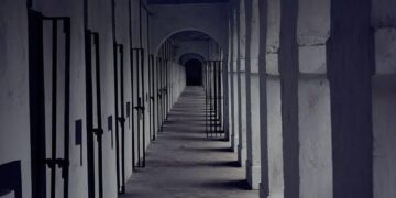 MOTHERLAND WILL RESPOND