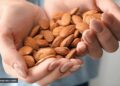 A Regular Almond Diet May Reduce Diabetes Risk Factors, According To A Study