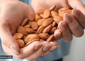 A Regular Almond Diet May Reduce Diabetes Risk Factors, According To A Study