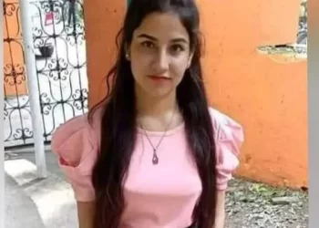 The Promoter Group Of The Above Businesses Includes Vinod Adani: Adani Businesses