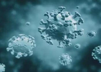 Will The H3N2 Virus Cause The Subsequent Covid Pandemic? According To Professionals