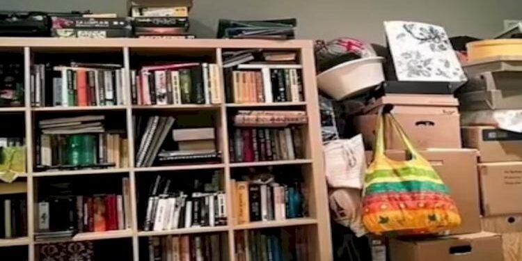 Optical Illusion: How Quickly Can You Locate The Hidden Cat In This Picture?