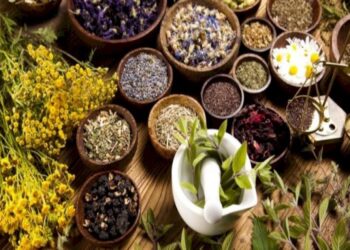 5 Nutritional Supplements For Fitness Fans