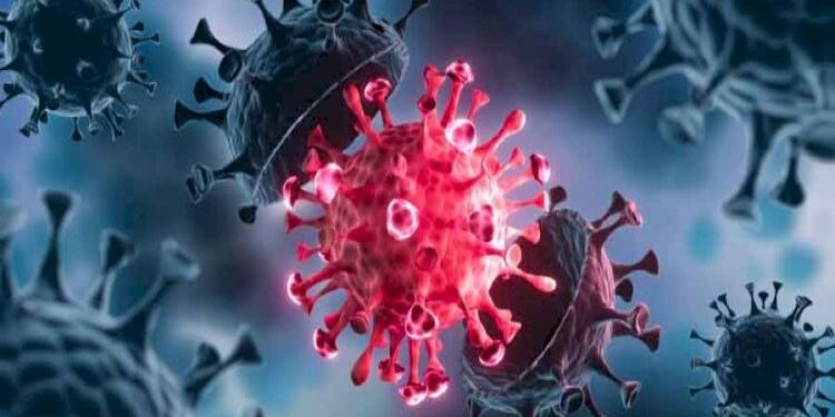 Countrywide Daily Covid Cases At Their Highest Level In 149 Days