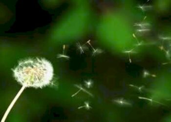 Four Short Tips To Get Through The Summer