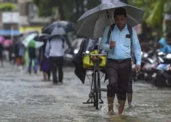 Orange And Yellow Alert Issued In Maharashtra, Meteorological Department Warns Of Heavy Rain In These Places