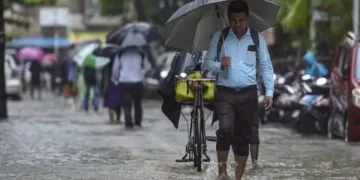 Orange And Yellow Alert Issued In Maharashtra, Meteorological Department Warns Of Heavy Rain In These Places