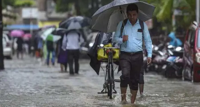 Orange And Yellow Alert Issued In Maharashtra, Meteorological Department Warns Of Heavy Rain In These Places