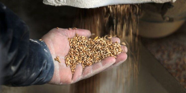 Europe Is Beginning To Fall Apart As Hungary And Poland Both Forbid The Purchase Of Food From Ukraine