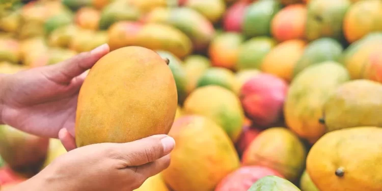 The Top 8 Mango Kinds You Should Try