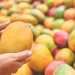 The Top 8 Mango Kinds You Should Try