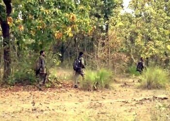 Three Naxalites Were Killed In A Police Encounter In Gadchiroli, Maharashtra