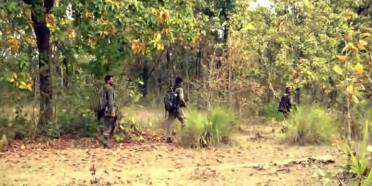 Three Naxalites Were Killed In A Police Encounter In Gadchiroli, Maharashtra