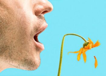 Bad Breath And Gut Health