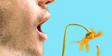 Bad Breath And Gut Health