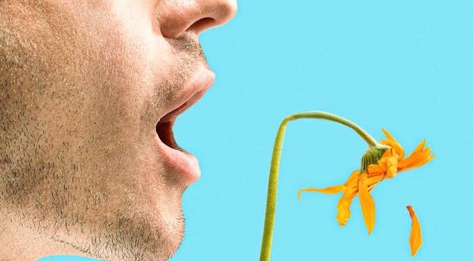 Bad Breath And Gut Health