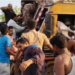 Tragic Collision On Nagpur-Pune Highway Claims Seven Lives, Leaves 13 Injured