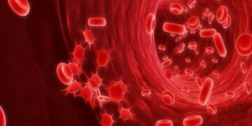 The Influence Of Genetic Factors On The Generation Of Healthy Red Blood Cells On World Thalassaemia Day In 2023