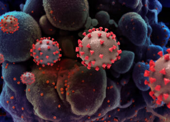 Mumbai’s Covid-19 Scenario: Decreasing New Cases, Rising Recoveries, And Positive Statistical Trends
