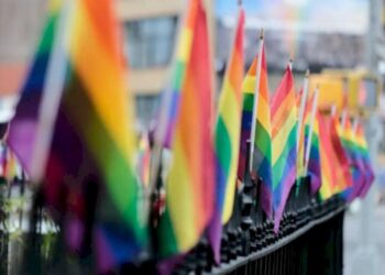 RSS Terms Of Service If Legalised, Homosexuality Would “increase,” According To Experts