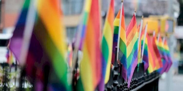 RSS Terms Of Service If Legalised, Homosexuality Would “increase,” According To Experts