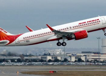 Scorpion Bites Female Passenger In Air India Flight, Company Says Extremely Rare Accident