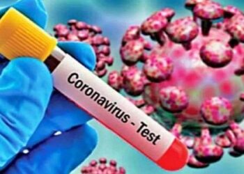 Maharashtra Reports 111 New Covid-19 Cases And No Fresh Fatalities In Last 24 Hours