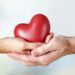 Man’s Organ Donation Saves 11 Lives In Virar Car Accident Tragedy