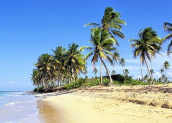 Check The Start And End Dates Of Summer Season 2023, Know How The Mood Will Be?