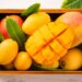 Here Are 4 Reasons Why Mango Is Called The King Of Fruits, Know Its Benefits