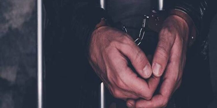 Maharashtra: Six Arrested From Navi Mumbai For Stealing And Butchering Cattle