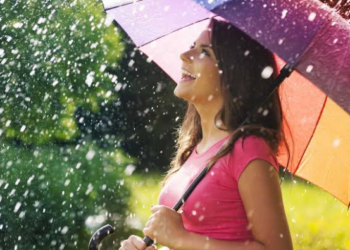 Maharashtra Monsoon News: Know The Monsoon 2023 Forecast And Updates