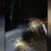 After A Tanker Carrying Raw Alcohol Fell Into A Canyon Near Pune, Maharashtra, Many People Were Thought Dead