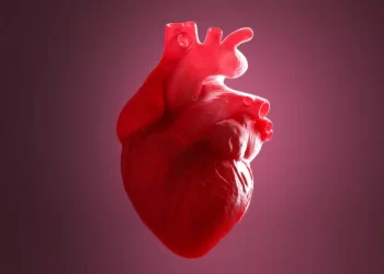 Study Reveals That Heart Inflammation After The COVID Vaccine Is Not Brought On By Antibodies