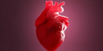 Study Reveals That Heart Inflammation After The COVID Vaccine Is Not Brought On By Antibodies
