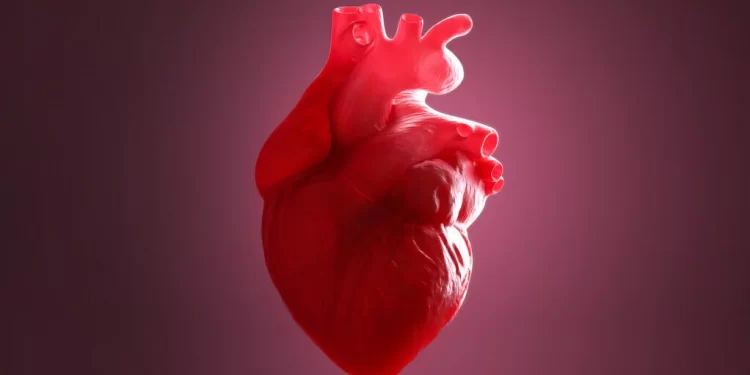 Study Reveals That Heart Inflammation After The COVID Vaccine Is Not Brought On By Antibodies