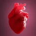 Study Reveals That Heart Inflammation After The COVID Vaccine Is Not Brought On By Antibodies