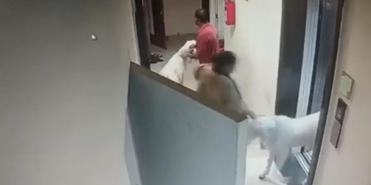 Mumbai: FIR Filed Against Muslim Man For Molestation Amid Goat Row In Mira Road Society