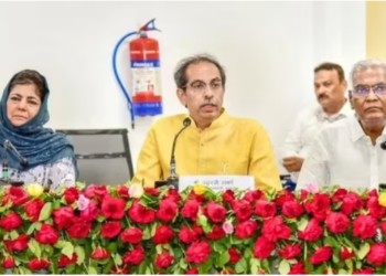 Uddhavji Sitting Next To Mehbooba Mufti Is Shocking. Fadnavis: “You Insult Balasaheb”