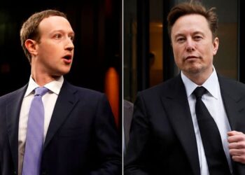Elon Musk Has Challenged Zuckerberg To A Cage Battle; Who Will Prevail?