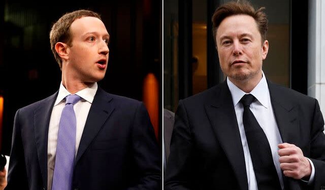 Elon Musk Has Challenged Zuckerberg To A Cage Battle; Who Will Prevail?