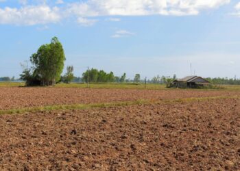 Tribal Woman Files Police Complaint Over Alleged Seizure Of Ancestral Land