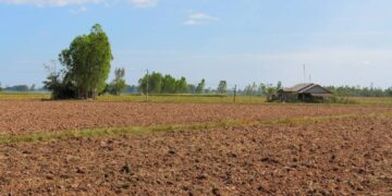 Tribal Woman Files Police Complaint Over Alleged Seizure Of Ancestral Land