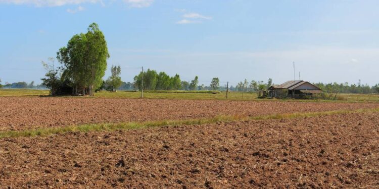 Tribal Woman Files Police Complaint Over Alleged Seizure Of Ancestral Land