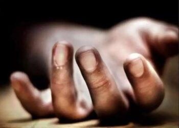 Maharashtra: Man Allegedly Killed Woman With Stone After She Was Stopped Him Entering In The Farm