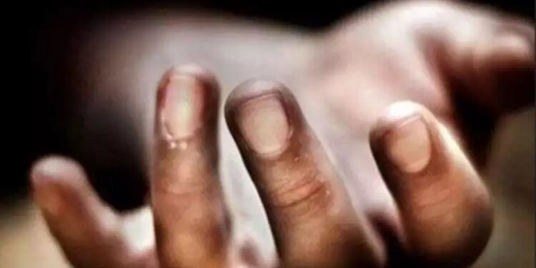 Maharashtra: Man Allegedly Killed Woman With Stone After She Was Stopped Him Entering In The Farm