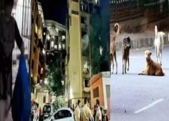 Manoj Had Been Feeding The Dogs For Two-three Days, As Soon As He Heard That Sentence, The Police Were Suspicious.